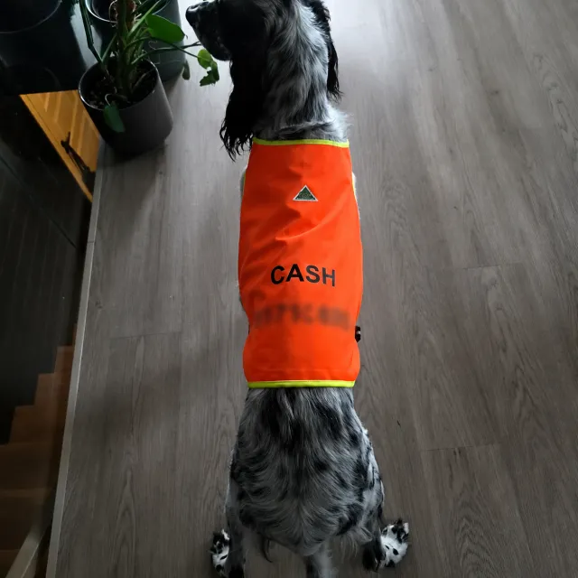 Jaktdekken spesial